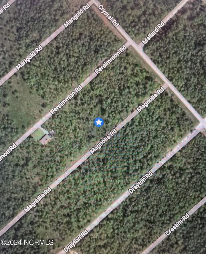 Property Photo:  323 323 Magnolia Road Road Lot #323  NC 28461 