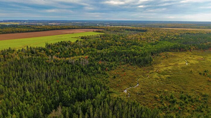 Photo de la propriété:  479 Bear River Road  PE C0A 2B0 