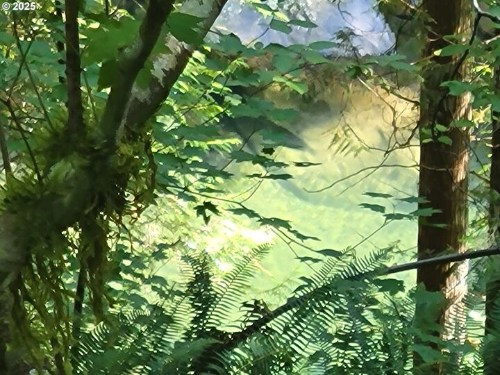 Property Photo: Heslen Rd WA 98610