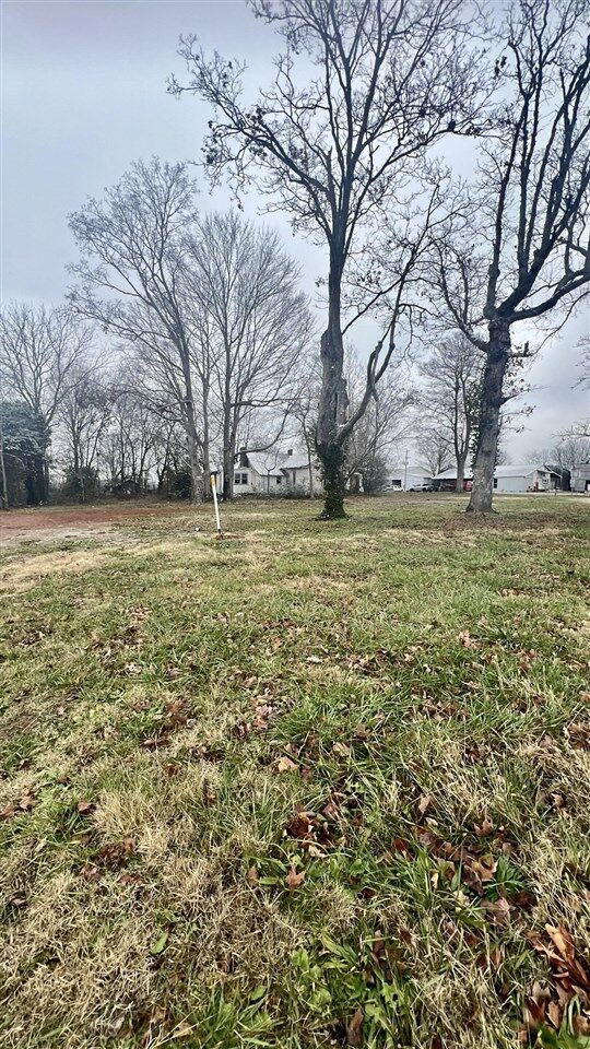 Property Photo:  5989 Gold City Road  KY 42134 