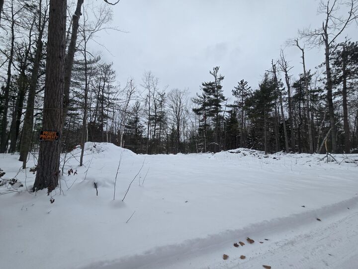 Property Photo: Lots 14-17 Mallard Trail MI 49735