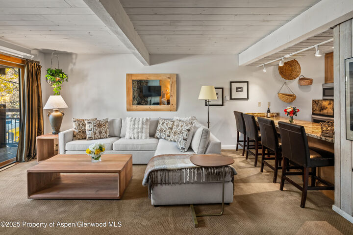 Property Photo:  131 E Durant Avenue 202  CO 81611 