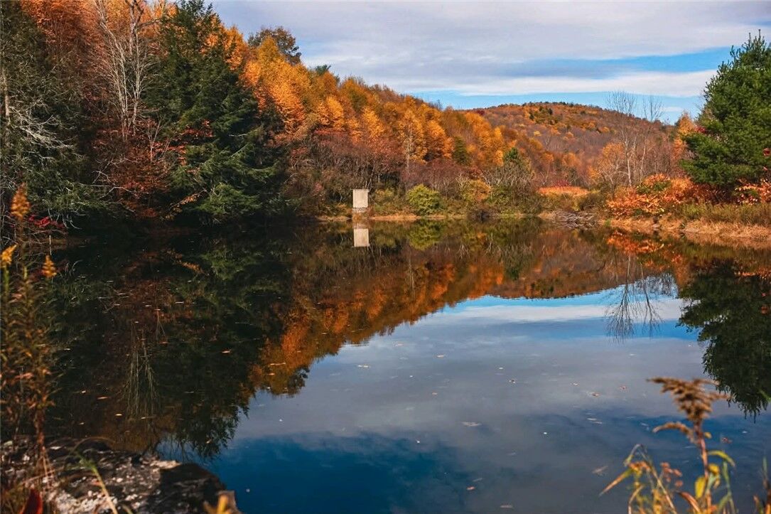 Property Photo:  Big Hollow Road  NY 13754 