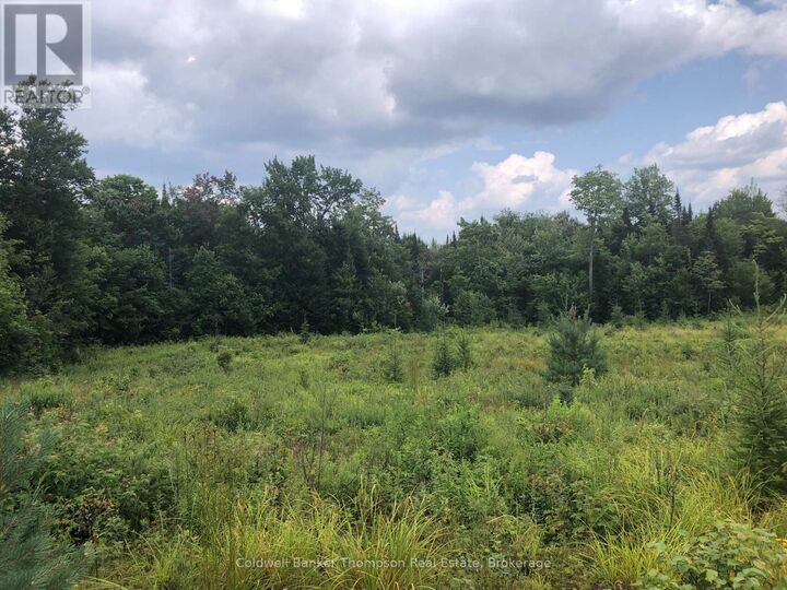 Property Photo:  522 Albert Street North  ON P0A 1Z0 