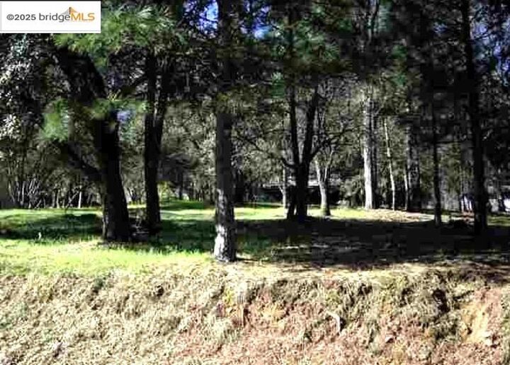 13137 Jackson Mill Dr  Groveland CA 95321 photo