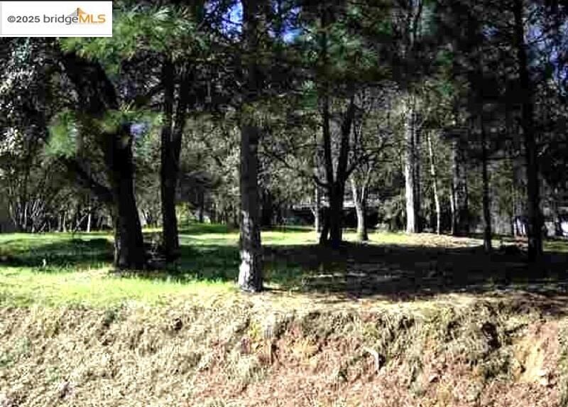 Property Photo: 13137 Jackson Mill Dr CA 95321