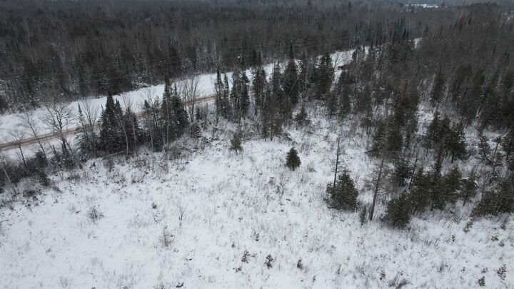 Property Photo: Tbd County Hwy E WI 54873