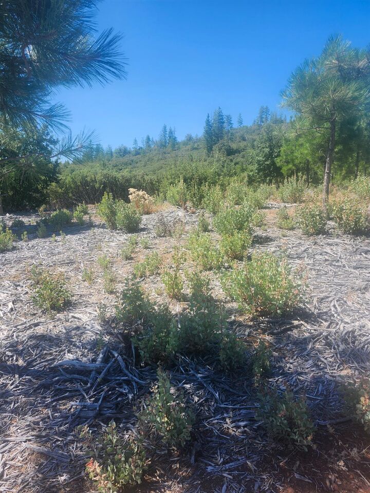 Property Photo: 19855 Incense Cedar Trail CA 95321