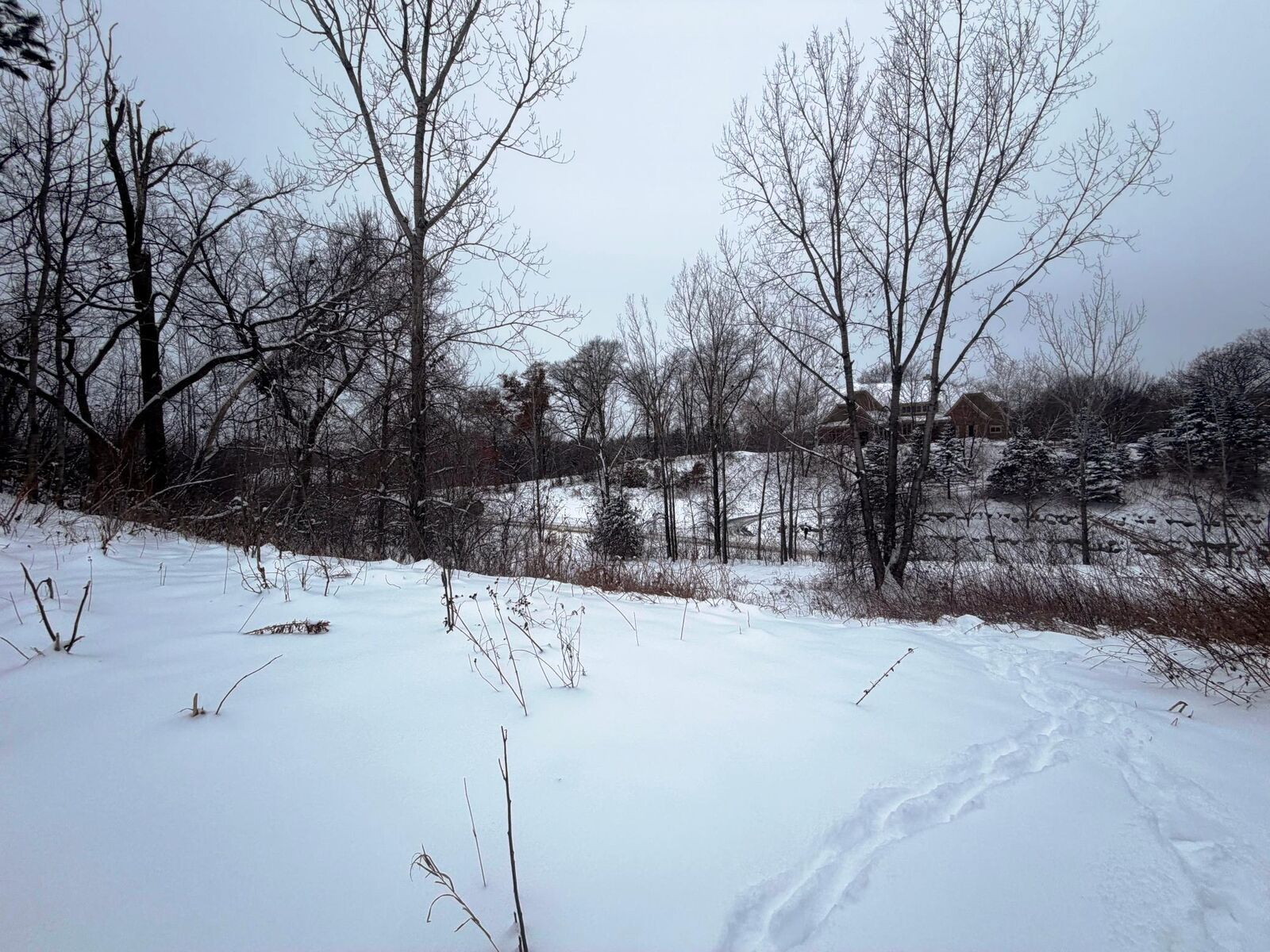 Property Photo: 1339 Birch Park Ridge WI 54082
