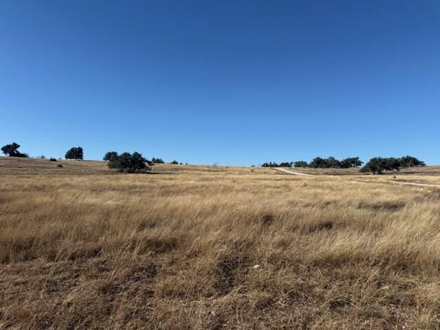Property Photo:  Lot 25 Reeh Rd  TX 78624 