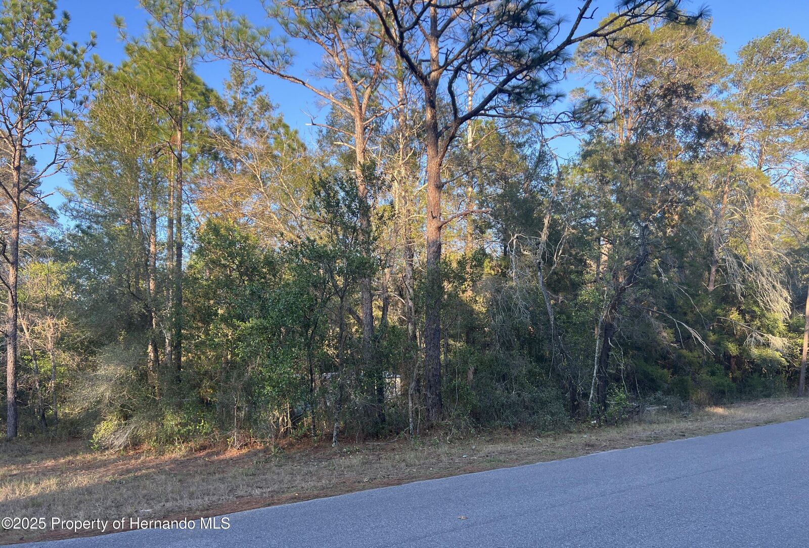 Property Photo:  Lot 4+ Blair Avenue  FL 34604 