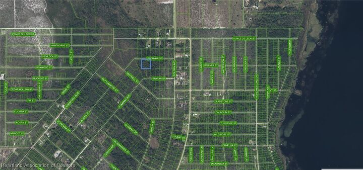 Property Photo:  819 Avocado Drive  FL 33852 