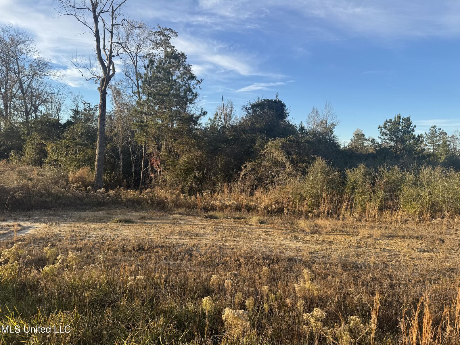 Property Photo:  13 Acres Parker Road  MS 39561 