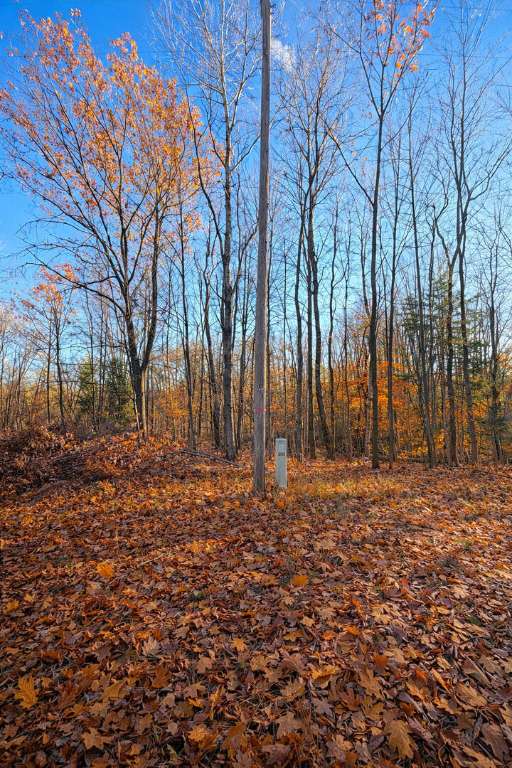 Property Photo: 8734 E 15 Mile Road MI 49338