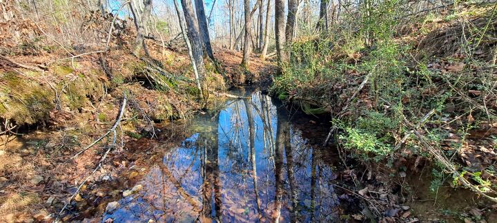 Property Photo:  0 NW Piney Road  TN 37055 