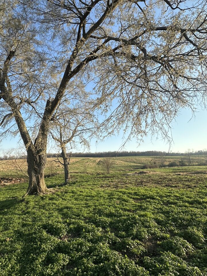 Property Photo: 46 Caps Rd TN 37079