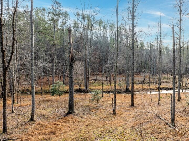 Property Photo: 780 Banks Road GA 30540