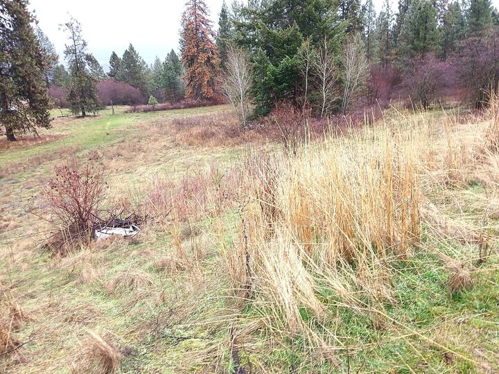 Property Photo: 30 Grandlouis Rd WA 99138