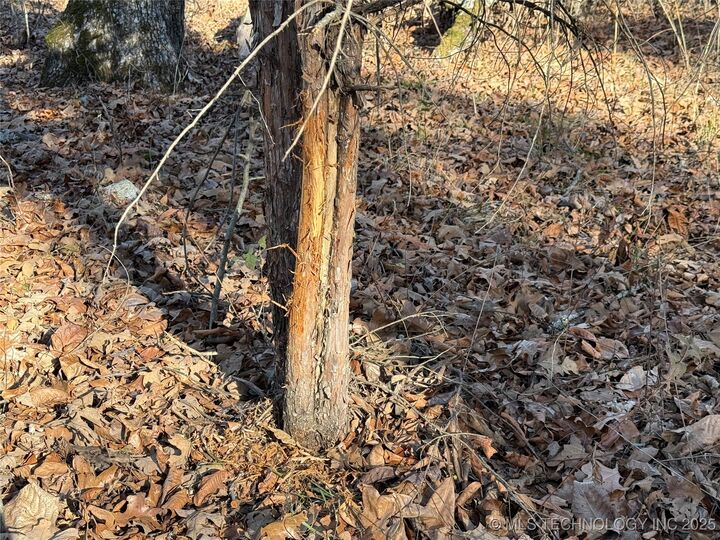 Property Photo: 4540 Rd Road S OK 74962