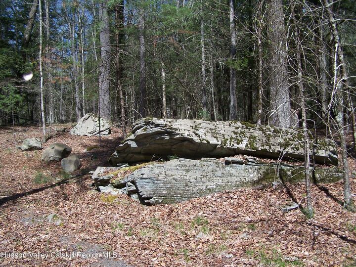 Property Photo:  Tbd Buck  NY 12484 