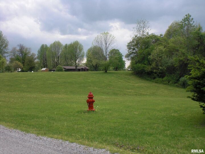 Property Photo: Lot 22 Scotty Drive IL 62903