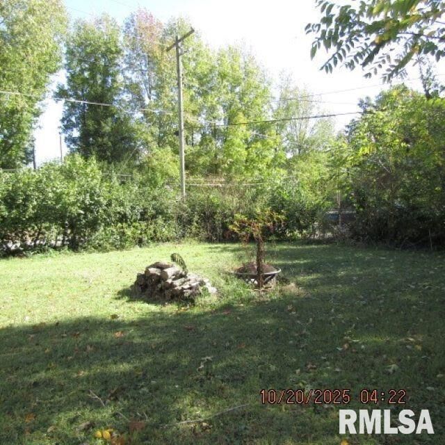 Property Photo: 302 W Patton Street IL 62891