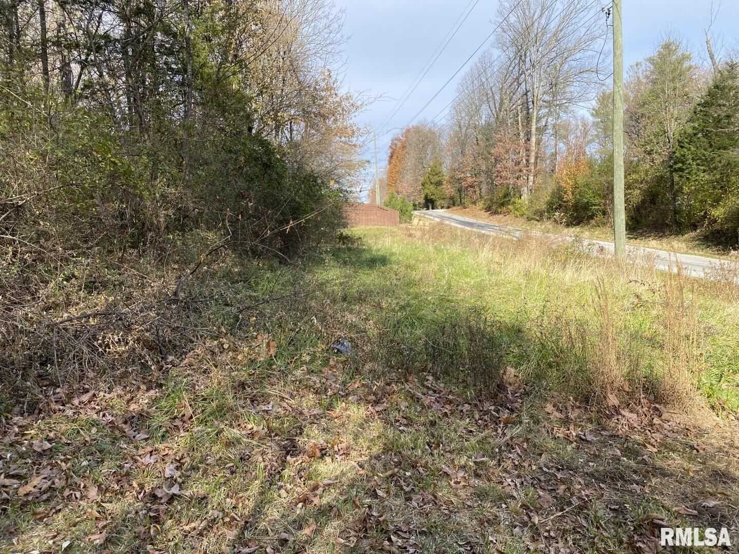 Property Photo: 00 Wood Road IL 62966