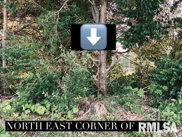Property Photo: Lot 4 Falcon Road IL 62901