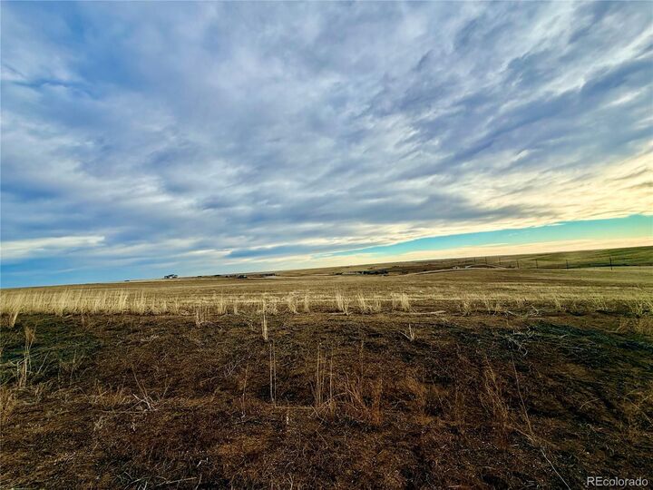 Property Photo: 4 Winners Circle CO 80107