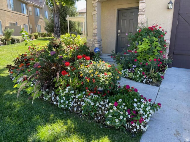 Property Photo: 970 E Tuscan Park Ln S UT 84047