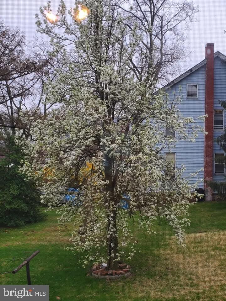 Property Photo:  307 Maple Avenue  PA 17053 