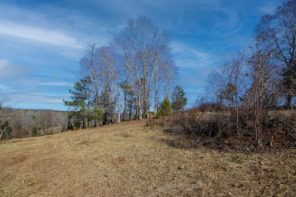 Property Photo:  0 St. Paul Church Road  GA 31826 