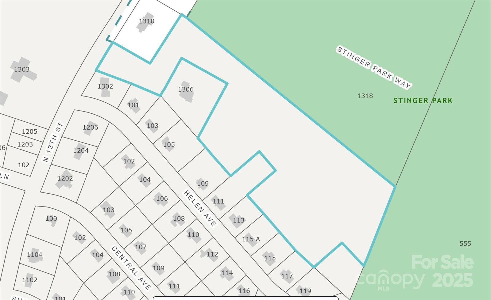 Property Photo:  0 Helen Avenue  NC 28016 