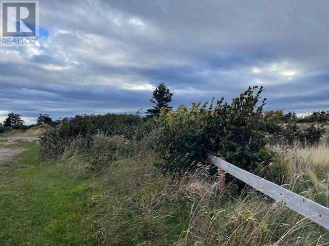 Property Photo:  Lot 4 McIsaac'S Lane  NL A0N 1T0 
