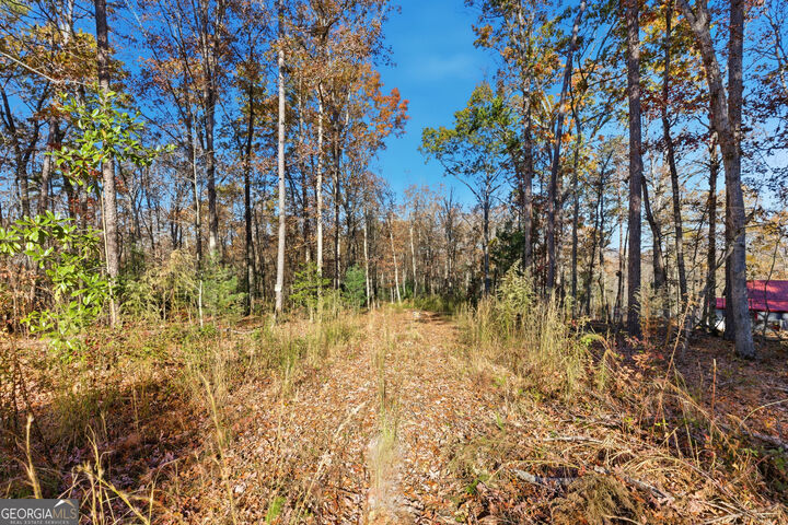 Property Photo:  0 Buckhorn Road  GA 30523 