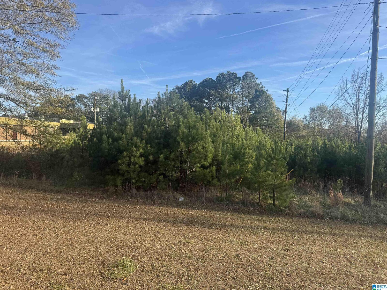 Property Photo:  0 Highway 78 0  AL 36203 