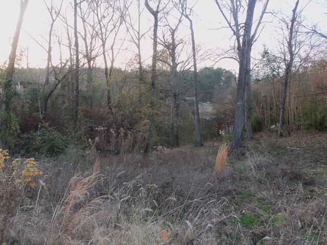 Property Photo:  Tbd Florey Lake Road  TX 75662 