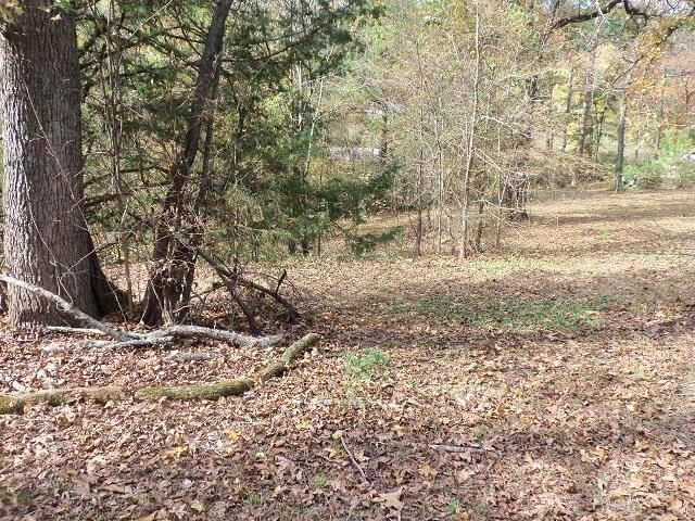 Property Photo:  Tbd Florey Lake Road  TX 75662 