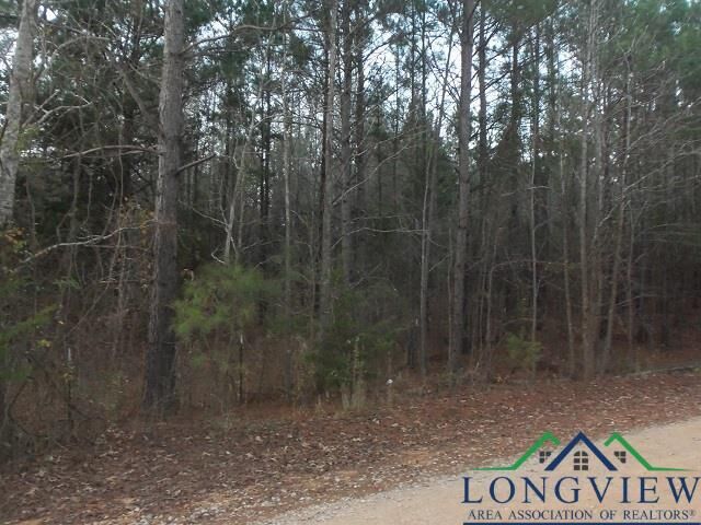 Property Photo:  Tbd Florey Lake Road  TX 75662 
