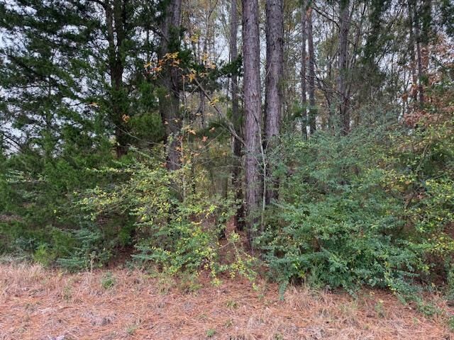 Property Photo:  Tbd Fm 2767  TX 75662 