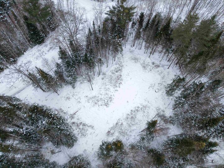 Property Photo:  40 Bear Paw Trail  NH 03561 