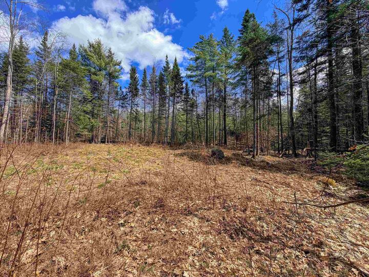 Property Photo:  40 Bear Paw Trail  NH 03561 