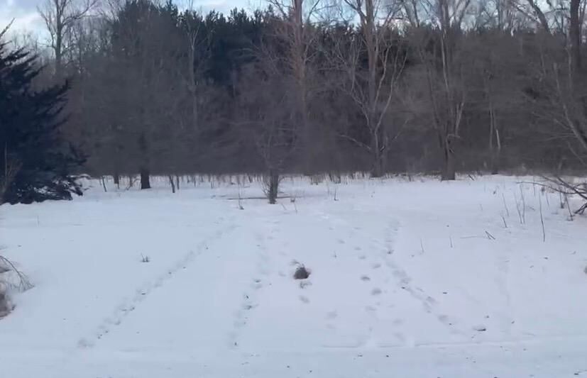 Property Photo:  Tbd Riverview Drive NE  MN 56319 