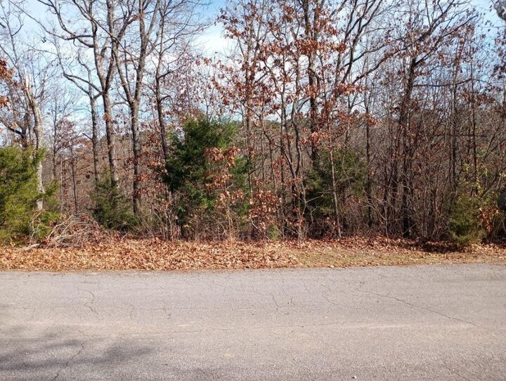 Property Photo:  Lot 15 Block 5 Fountainhall Lane  AR 72715 