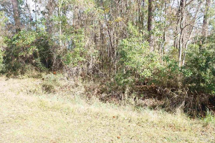 Property Photo:  396 Riola Pl  FL 32506 