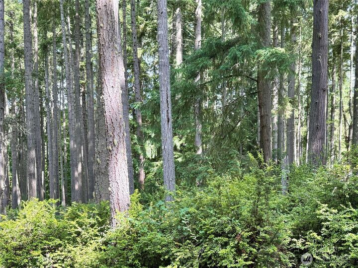 Property Photo:  12914 E 101st Street Ct  WA 98303 