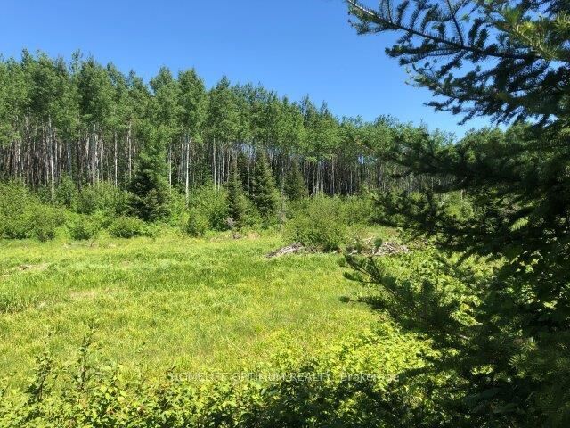 Property Photo:  38.24 Acres In Ogden Township - Pcl 24640 N/A  ON P4N 7C2 