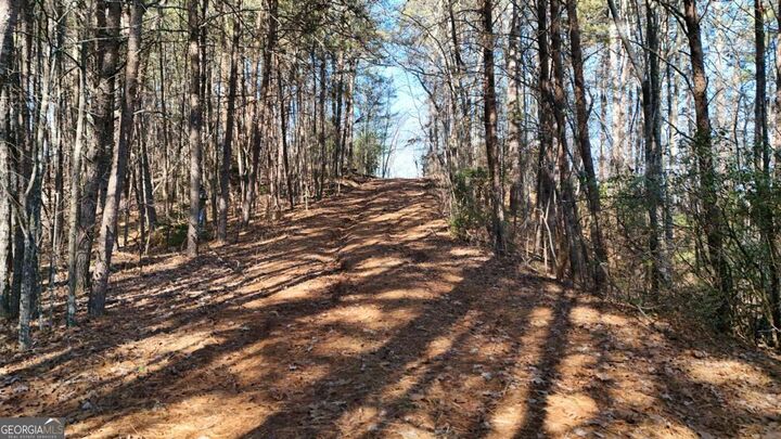 Property Photo:  0 Gold Valley Road  GA 30571 