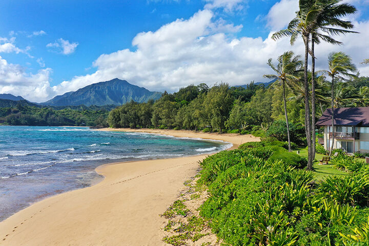 Property Photo:  5-7130 Kuhio Hwy J3 Dec/Jan - #1  HI 96722 