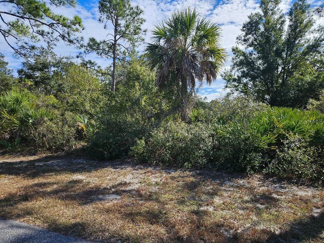 Property Photo:  211 Baldur Drive  FL 33954 